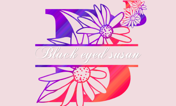 Black Eyed Susan Split Font: Fonts Free Download Black Eyed Susan Split Font - Featured Image