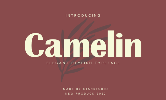 Camelin Font: Fonts Free Download Camelin Font - Featured Image