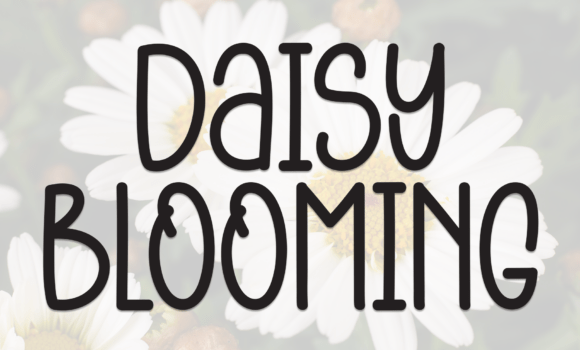 Daisy Blooming Font - Featured Image
