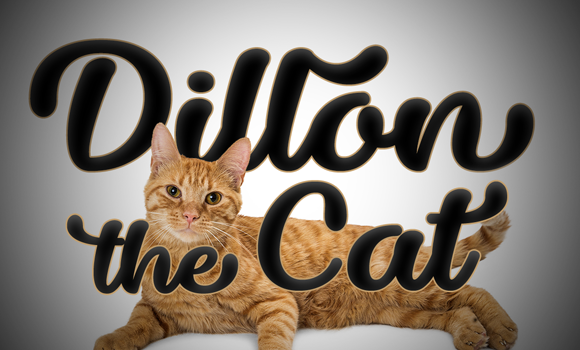 Dillon the Cat Font: Fonts Free Download Dillon the Cat Font - Featured Image