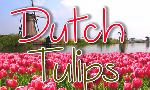 Dutch Tulips Font - Featured Image