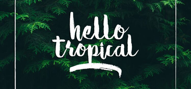Hello Tropical Font - Featured Image