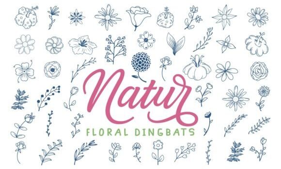 Natur Font - Featured Image