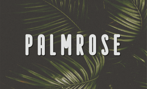 Palmrose Font - Featured Image