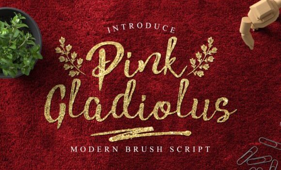 Pink Gladiolus Font - Featured Image