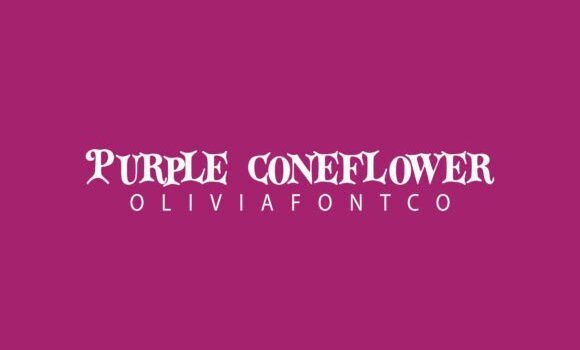 Purple Coneflower Font: Fonts Free Download Purple Coneflower Font - Featured Image