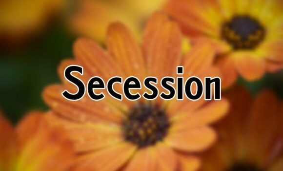 Secession Font: Fonts Free Download Secession Font - Featured Image